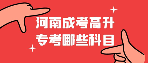 新乡成考高升专